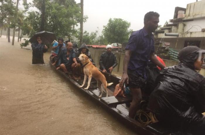 Kerala, 'the worst flood in 100 years'. At least 87 dead and 25 thousand  displaced